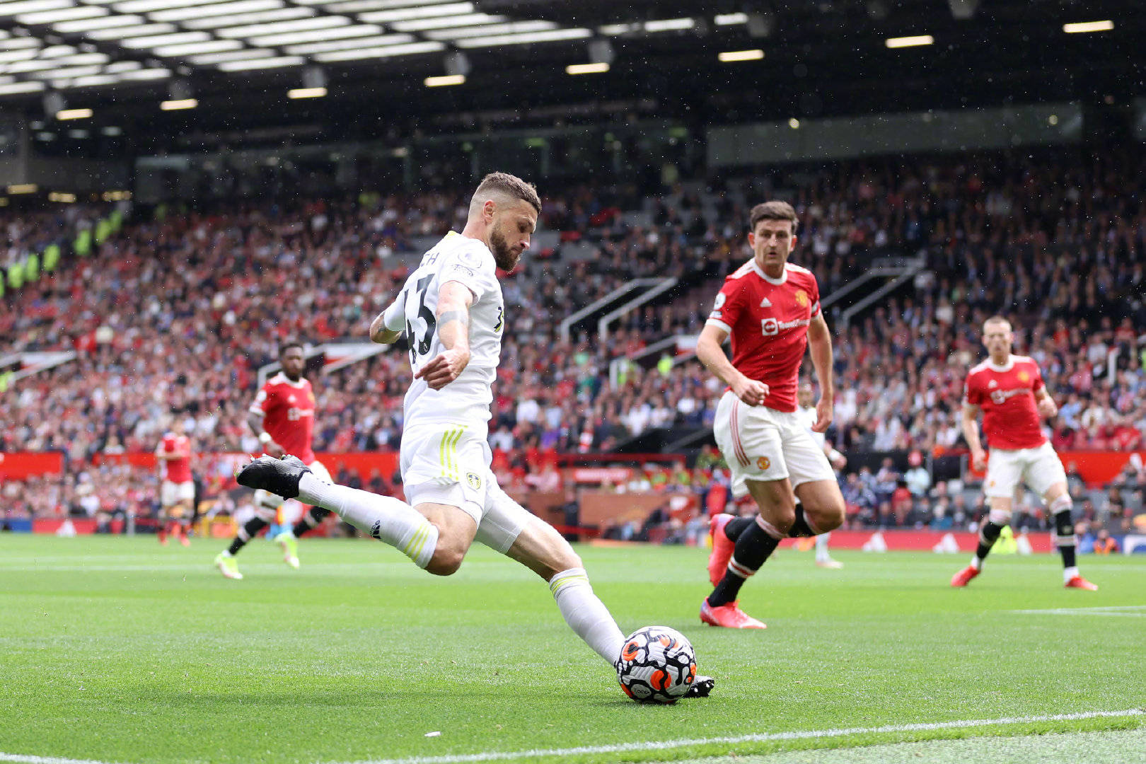 不仅为她的 不仅为她的